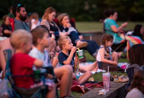 Family Movie Night at Falling Creek Park in August 2022